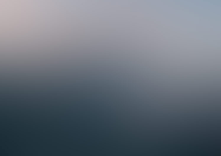 Custom software development